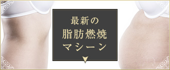 最新の脂肪燃焼マシーン