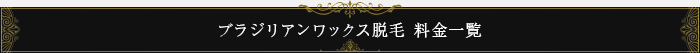 ブラジリアンワックス脱毛 料金一覧